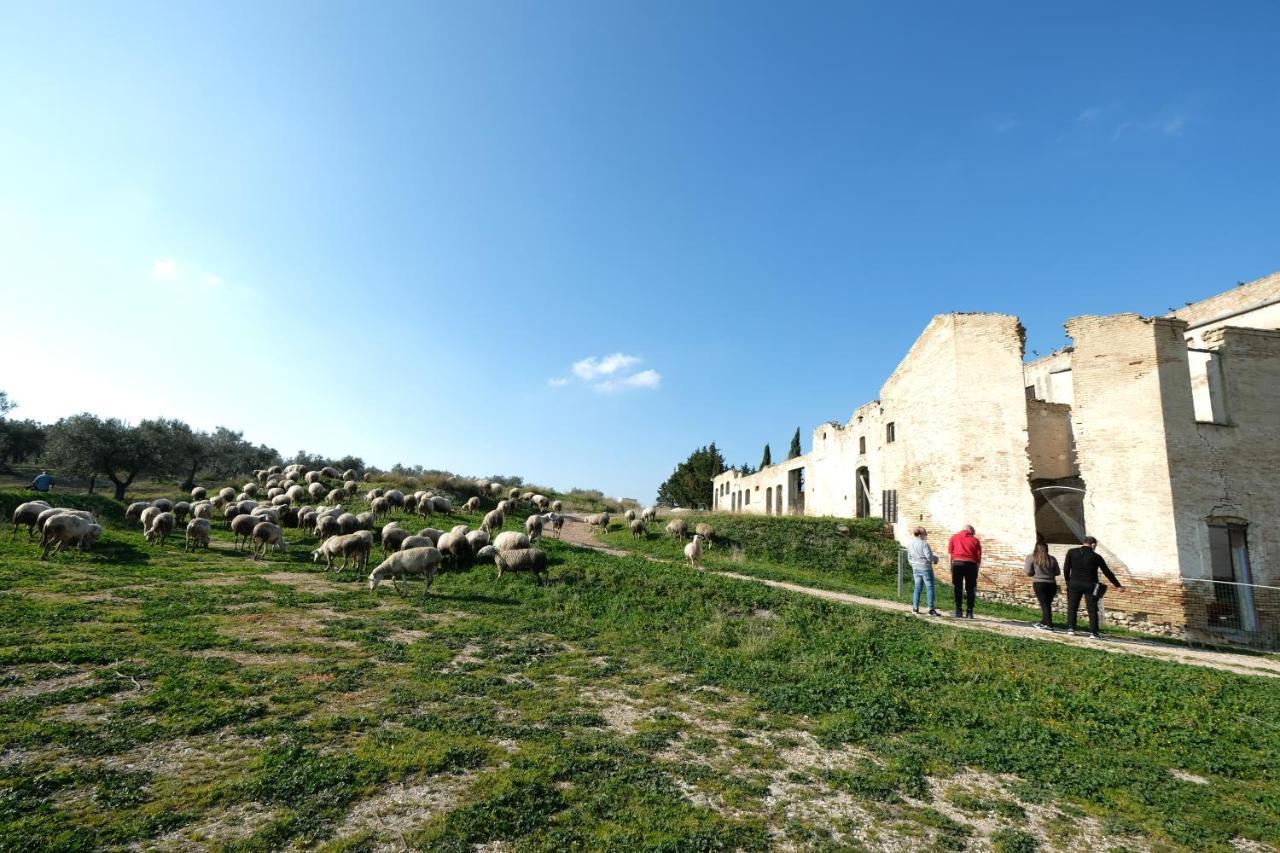 Masseria Sant'Agapito Lucera Exterior foto